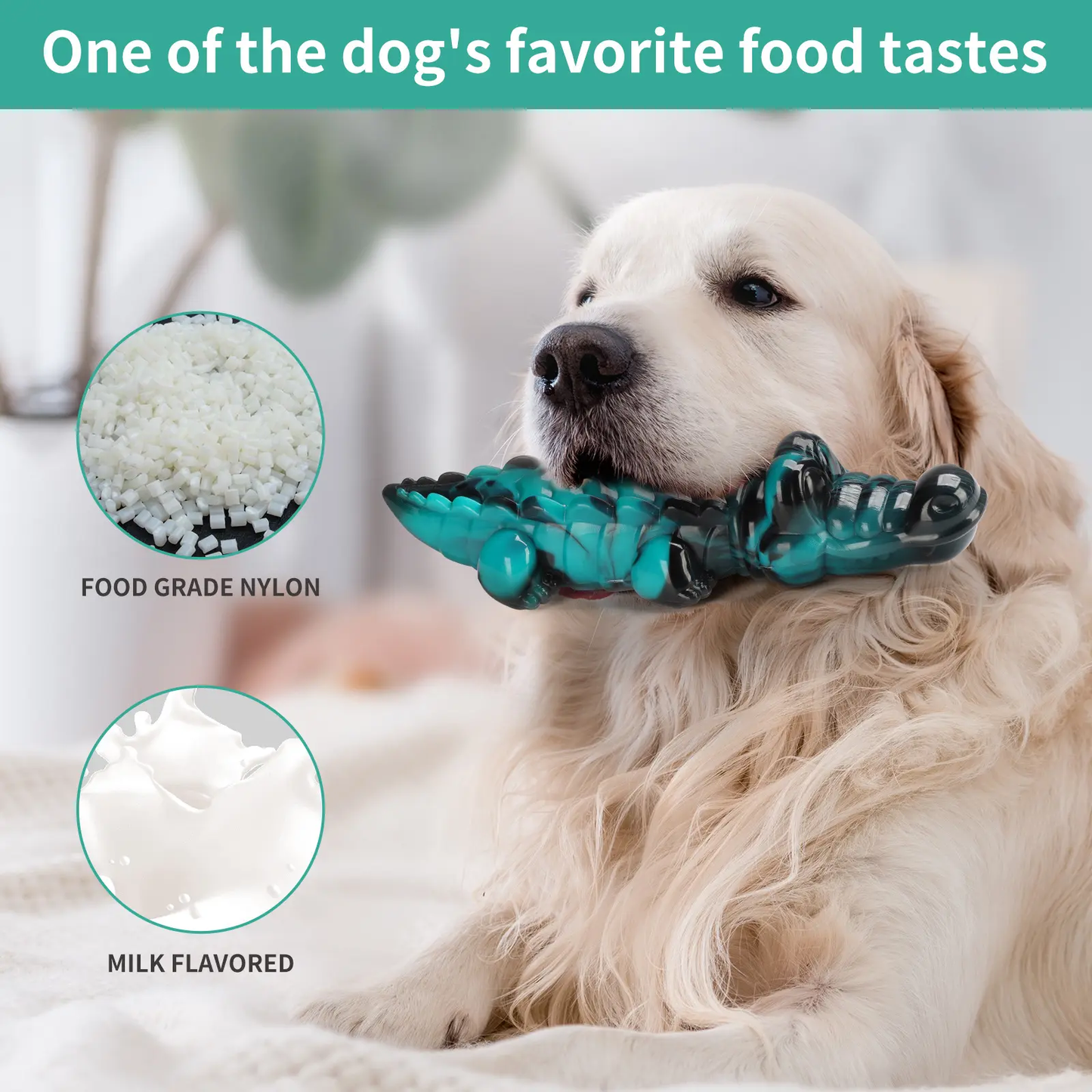 Croc-A-Chew!