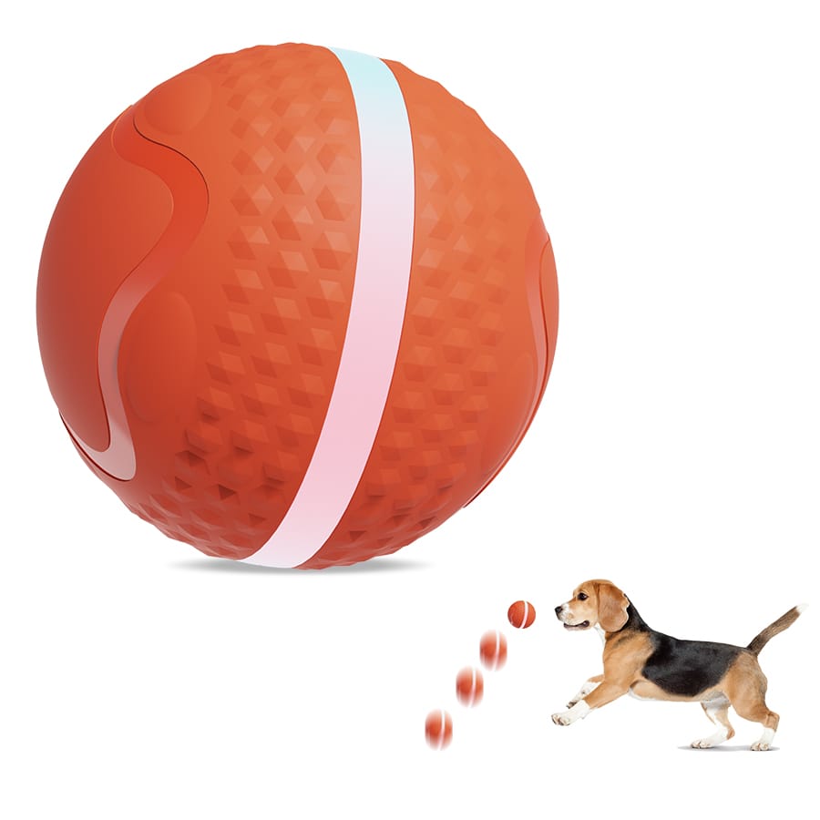 Big Dawg Bundle - Bundle for Large Breeds